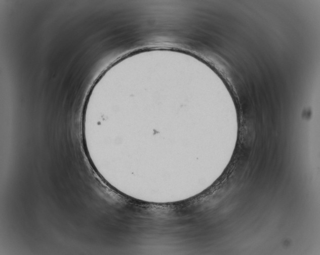 X0000100331191200806191100