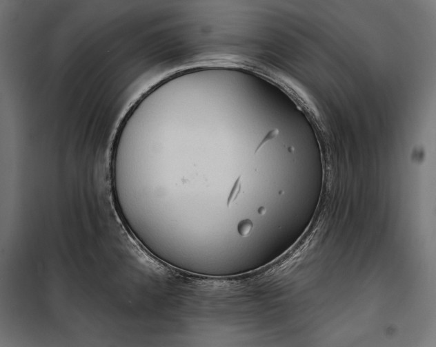 X0000100331192200806191100