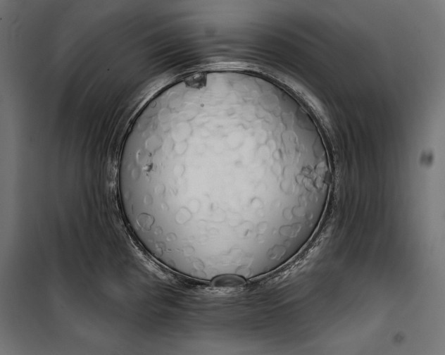 X0000100331193200806191100