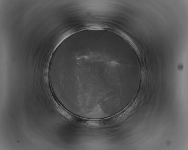 X0000100331194200806191100