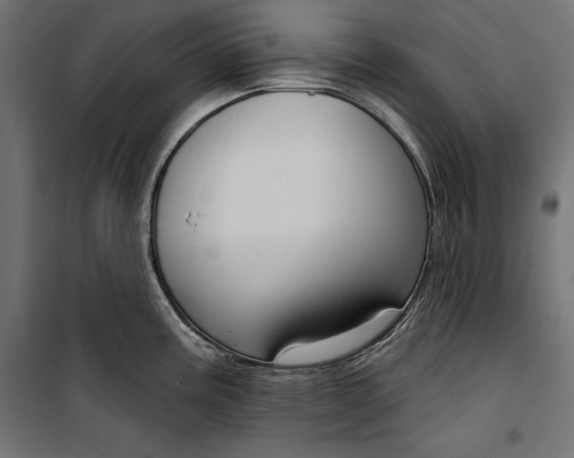 X0000100331195200806191100