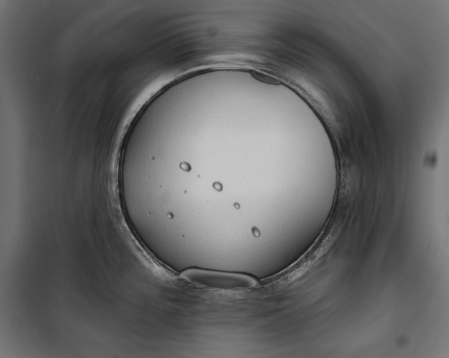 X0000100331196200806191100