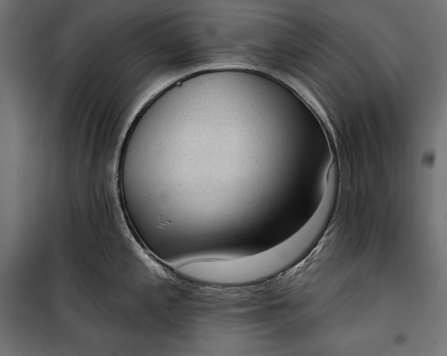 X0000100331197200806191100