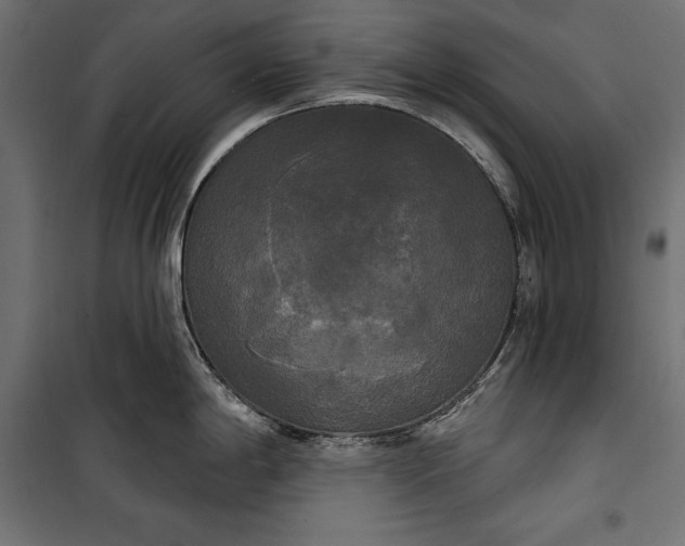 X0000100331198200806191100