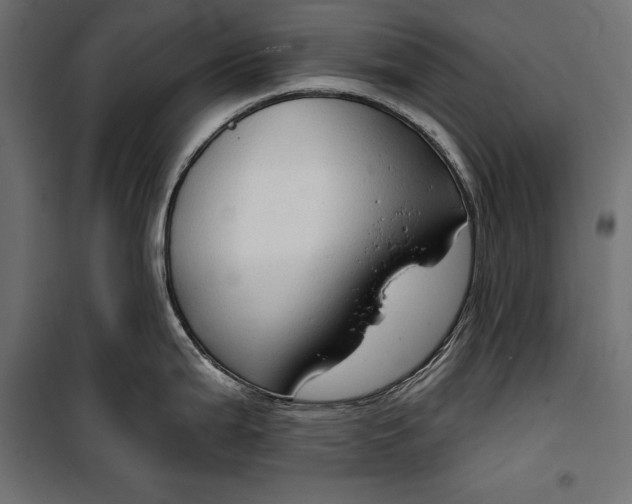 X0000100331199200806191100