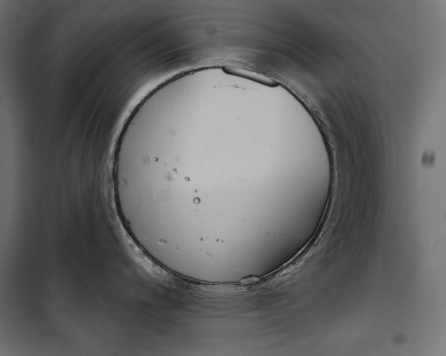 X0000100331200200806191100