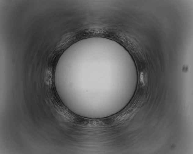 X0000100331203200806191100