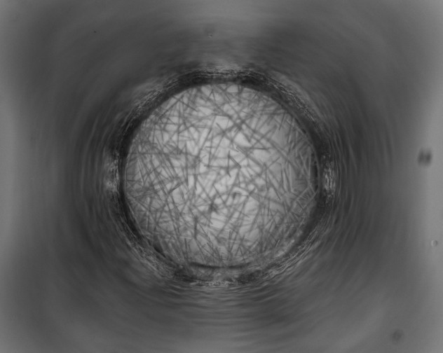 X0000100331204200806191100