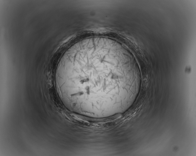 X0000100331205200806191100