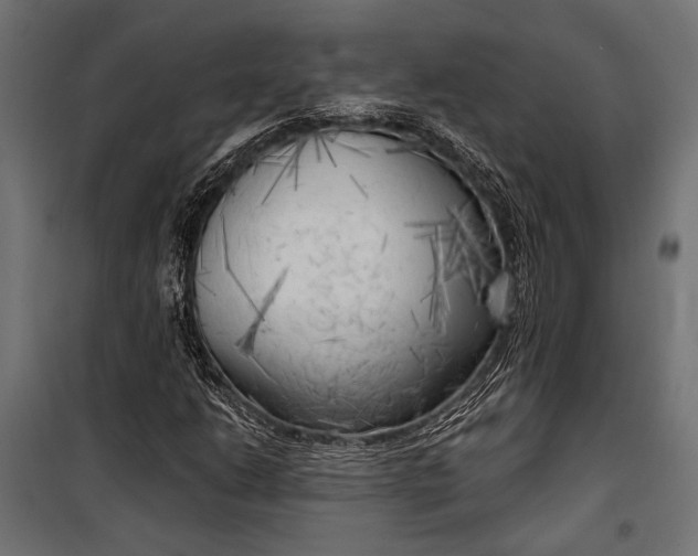 X0000100331206200806191100