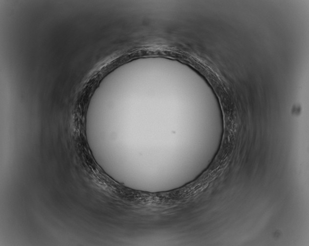 X0000100331207200806191100