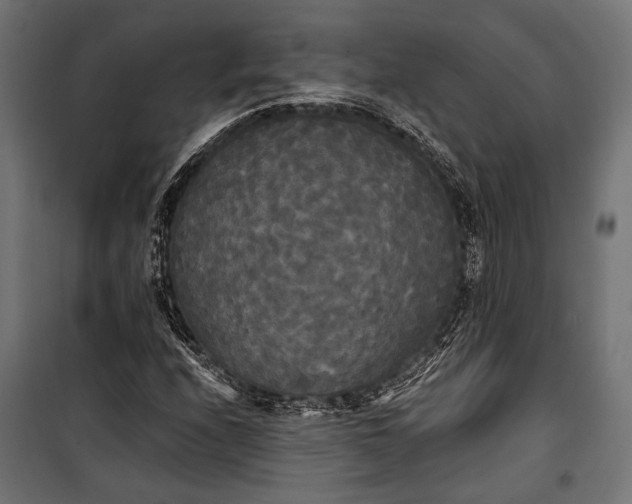 X0000100331208200806191100