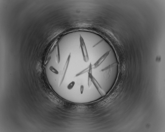 X0000100331209200806191100