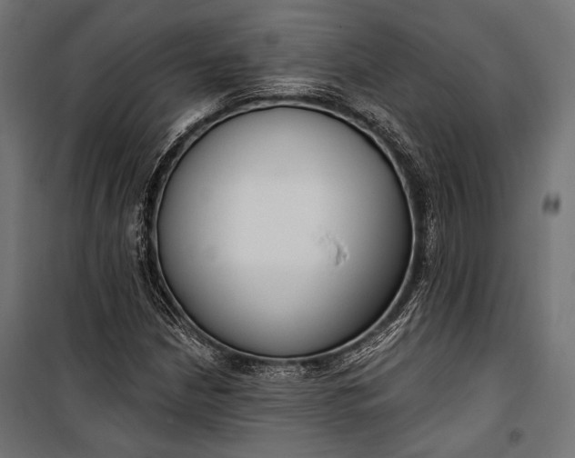 X0000100331210200806191100