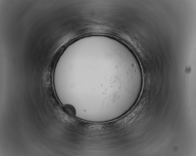 X0000100331211200806191100