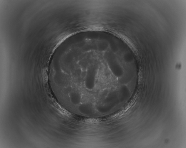 X0000100331212200806191100