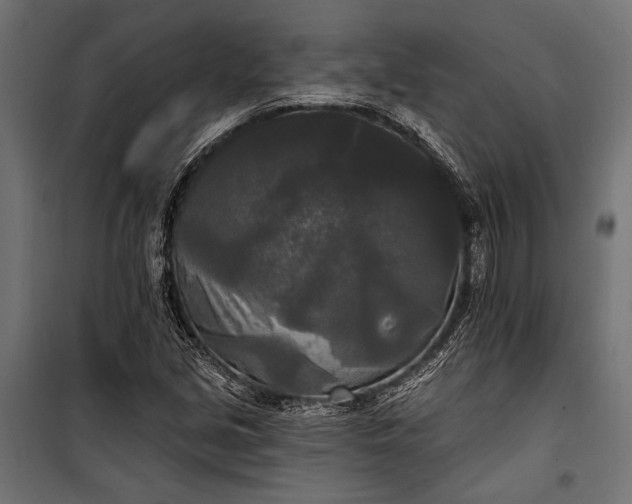 X0000100331213200806191100