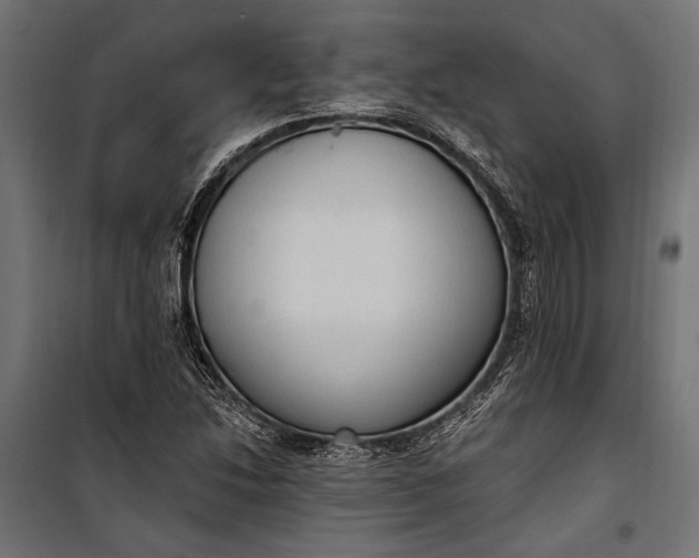 X0000100331214200806191100