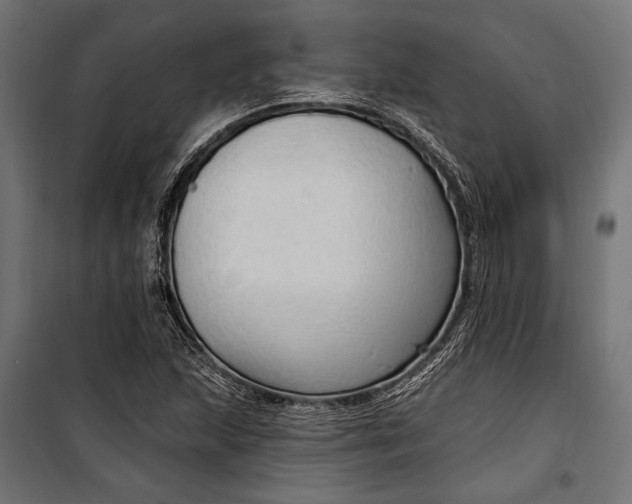 X0000100331215200806191100