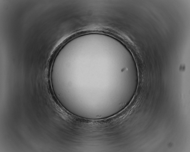 X0000100331216200806191100