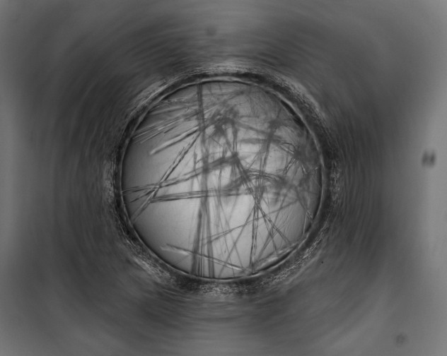 X0000100331217200806191100