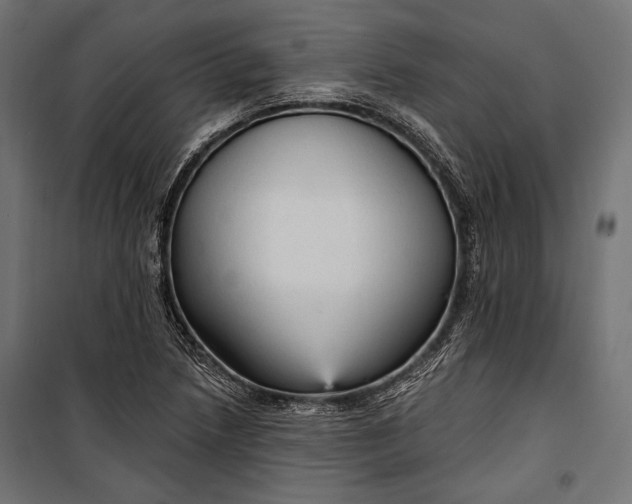 X0000100331218200806191100