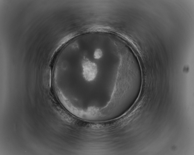 X0000100331219200806191100