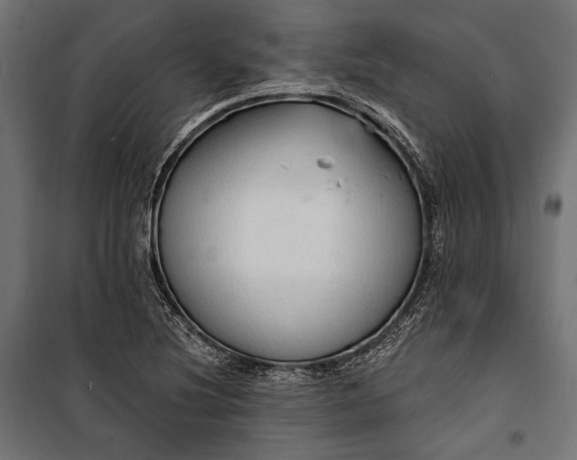 X0000100331220200806191100