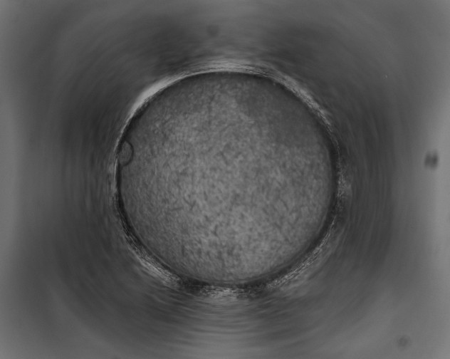 X0000100331222200806191100