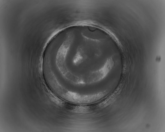 X0000100331224200806191100