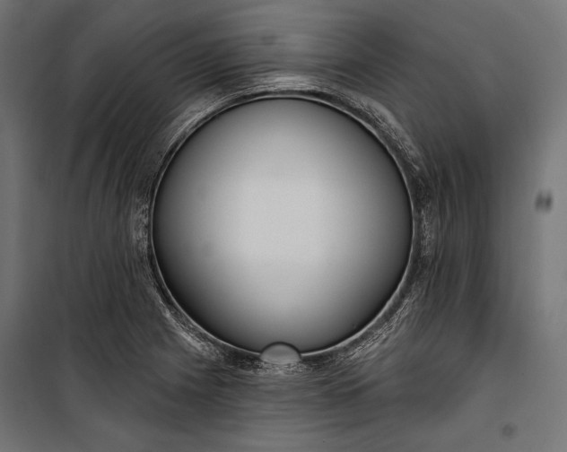 X0000100331225200806191100