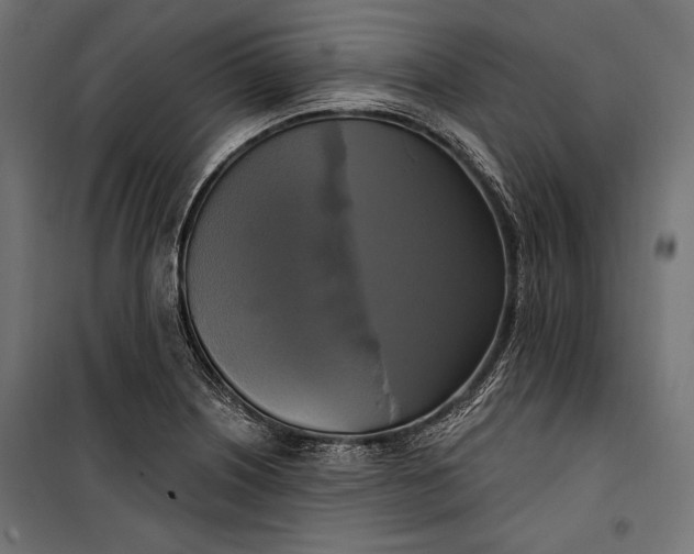 X0000100331226200806191100