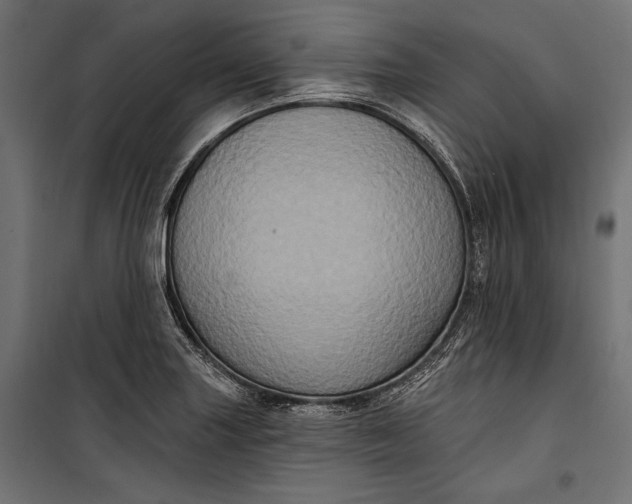 X0000100331227200806191100