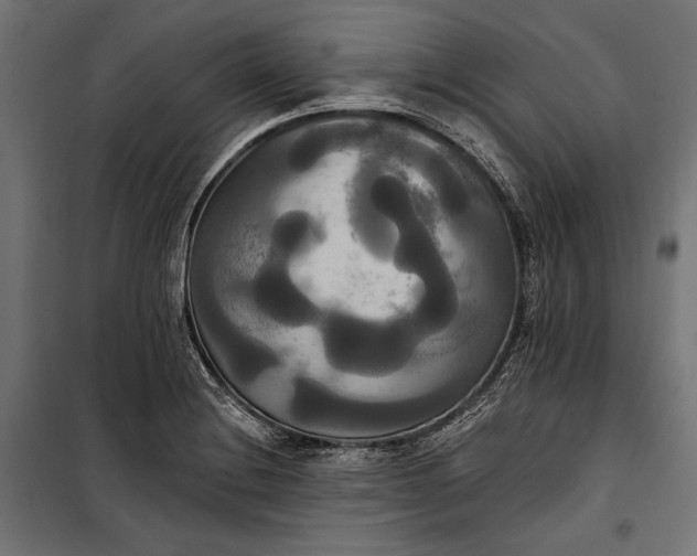 X0000100331228200806191100