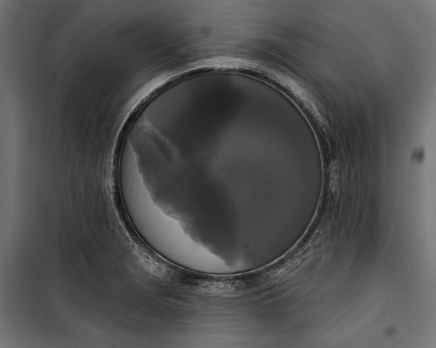 X0000100331229200806191100