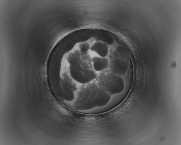 X0000100331230200806191100