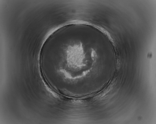 X0000100331231200806191100