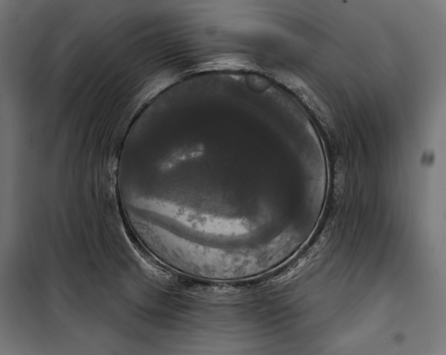 X0000100331233200806191100