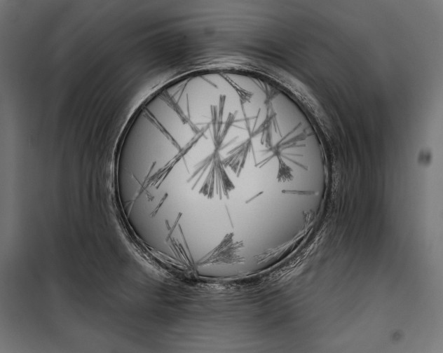 X0000100331234200806191100