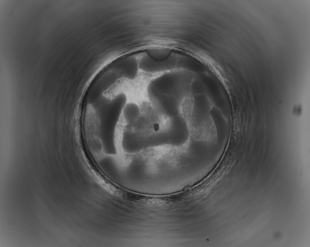 X0000100331235200806191100