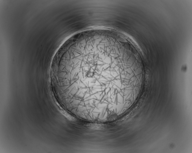 X0000100331236200806191100