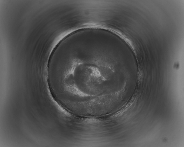 X0000100331239200806191100