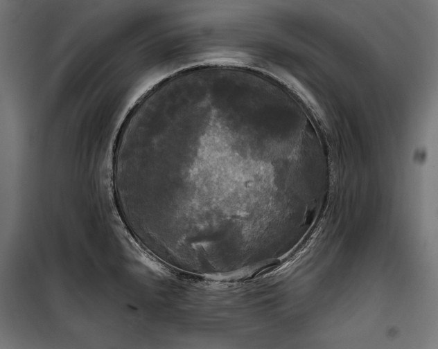 X0000100331240200806191100