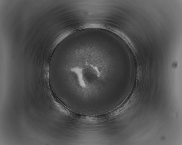 X0000100331241200806191100