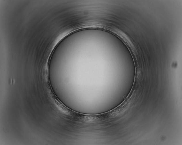 X0000100331242200806191100