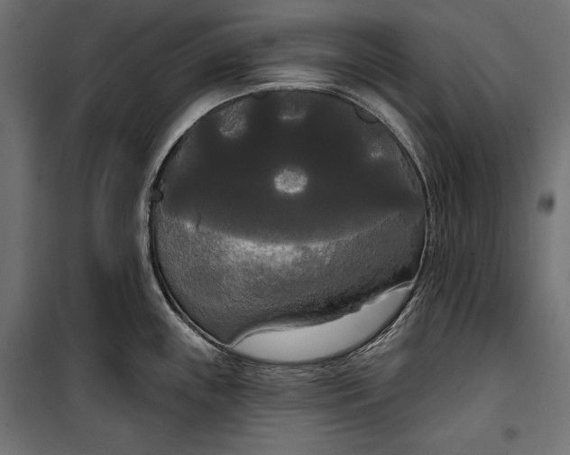 X0000100331243200806191100