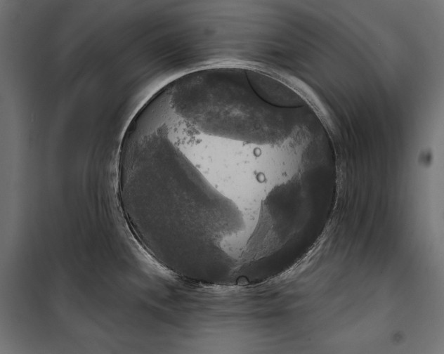 X0000100331244200806191100