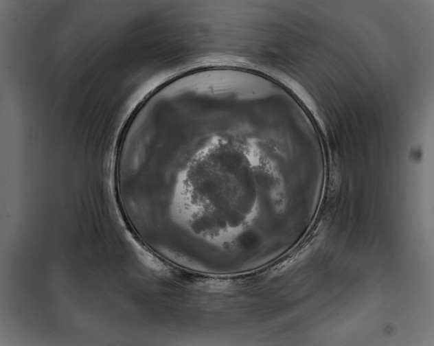 X0000100331245200806191100