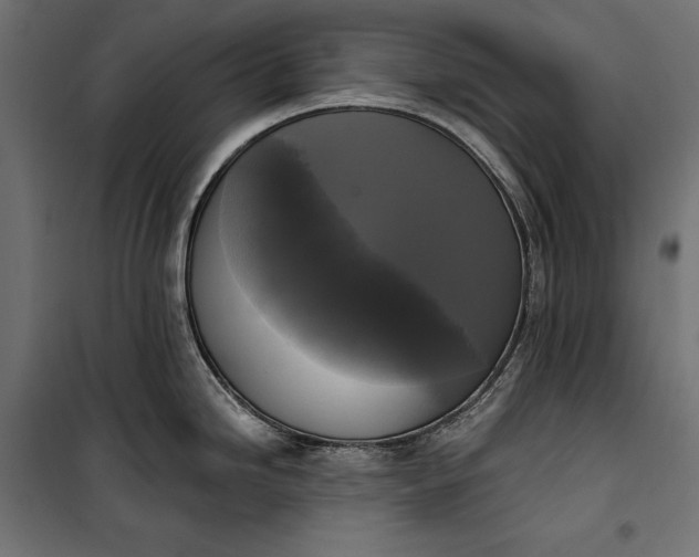 X0000100331246200806191100