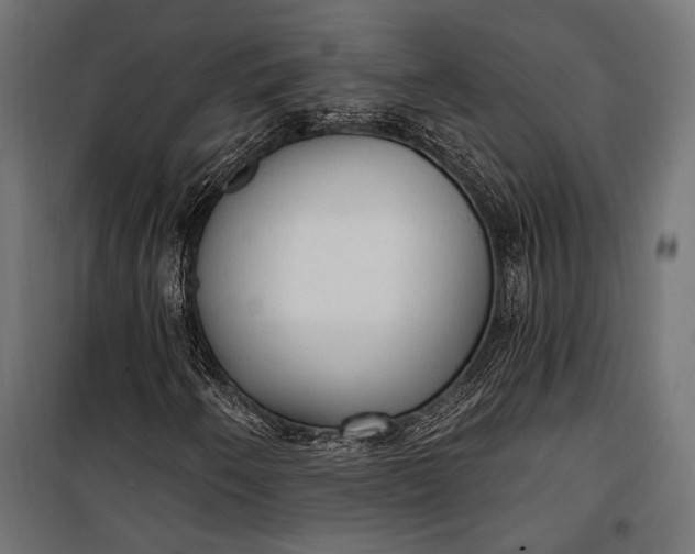 X0000100331250200806191100